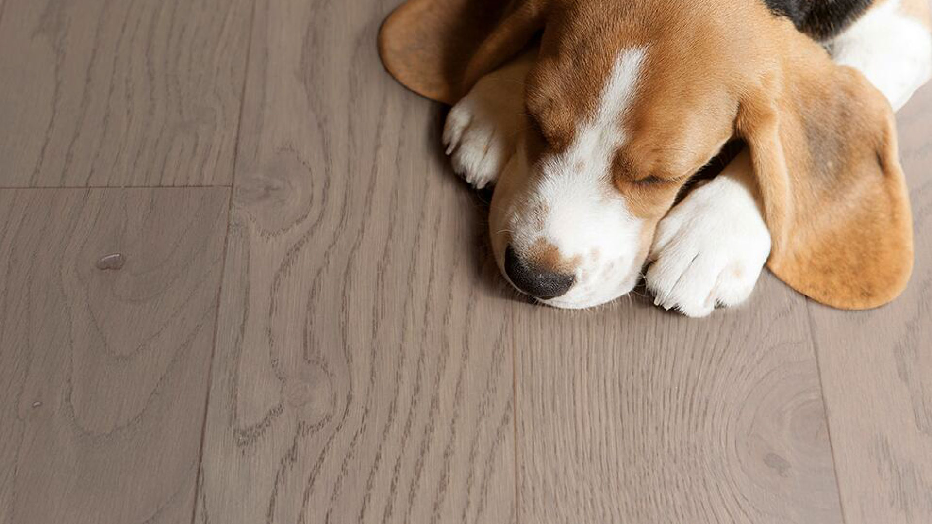 比利時(shí)PAR-KY高科技實(shí)木復(fù)合地板,進(jìn)口地板