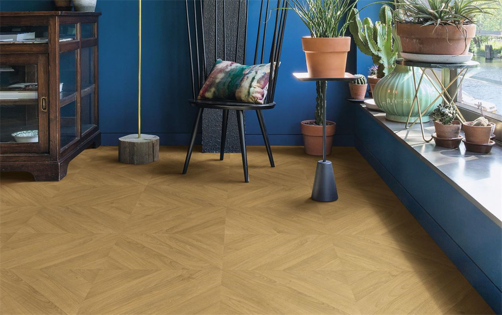 如何不限花期，于家中賞“花”？Come in！ image1