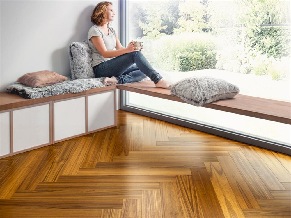 如何不限花期，于家中賞“花”？Come in！ image2