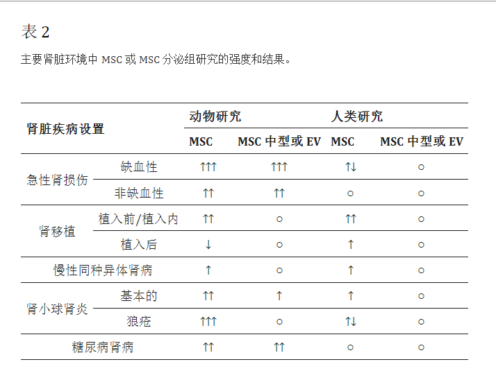 主要腎臟環境中MSC或MSC分泌組研究的強度和結果