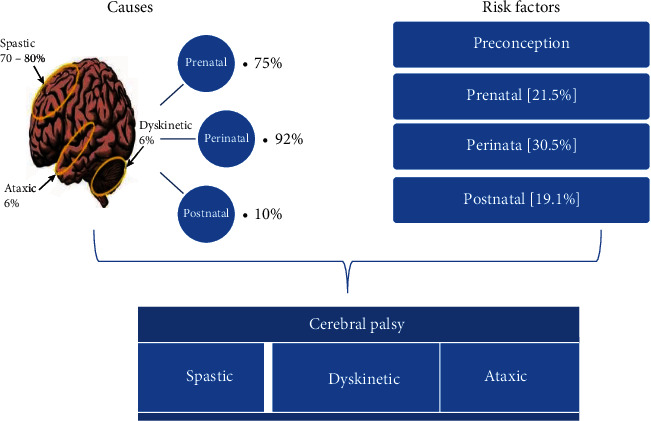 導(dǎo)致腦癱的事件 導(dǎo)致腦癱的事件