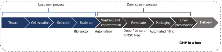 圖1:治療性細胞制造加工的工作流程。 圖1:治療性細胞制造加工的工作流程。