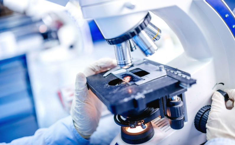 關(guān)于干細(xì)胞的臨床試驗細(xì)節(jié)有哪些? 關(guān)于干細(xì)胞的臨床試驗細(xì)節(jié)有哪些?