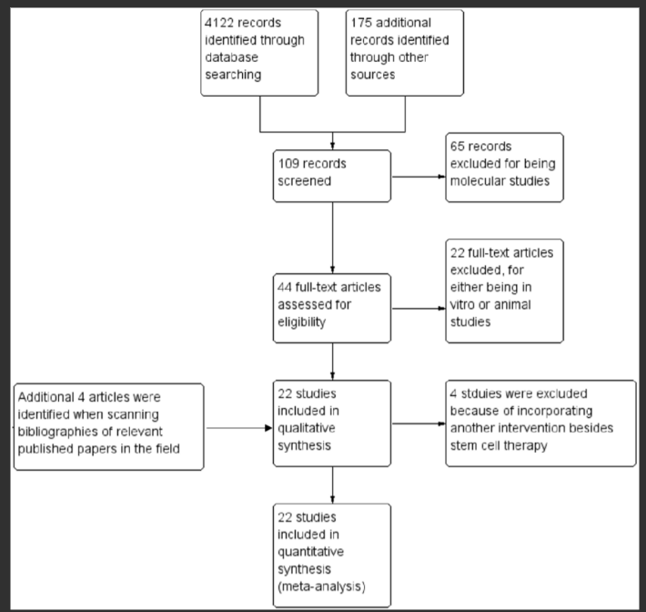 圖1.顯示記錄識別、篩選和研究納入過程的流程圖。