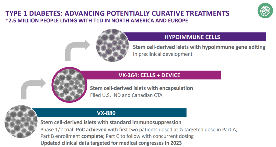 治療1型糖尿病!Vertex干細胞療法獲FDA批準臨床