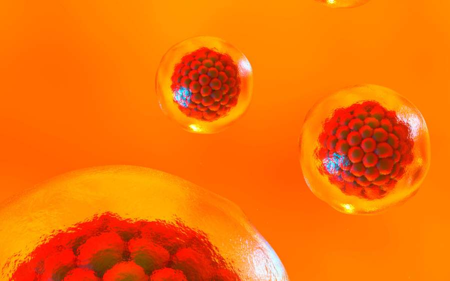 干細胞療法能持續(xù)多久? 干細胞療法能持續(xù)多久?