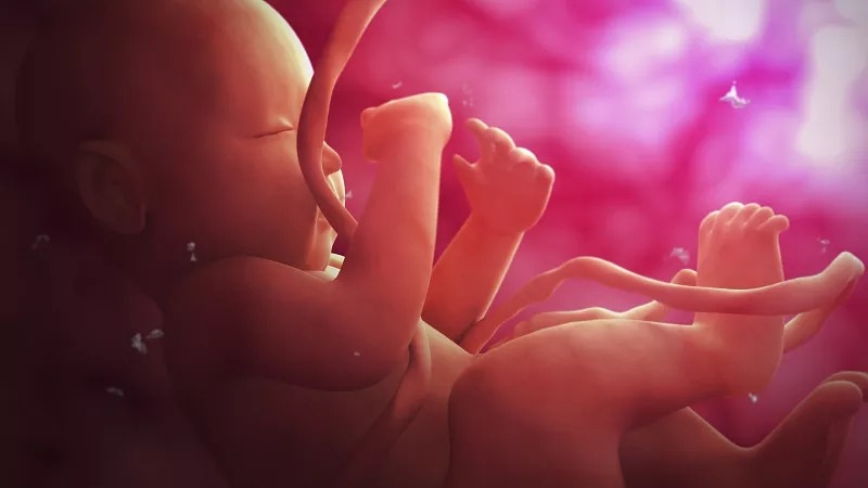 臍帶間充質干細胞的作用和功效是什么?在哪些疾病具有臨床應用價值? 臍帶間充質干細胞的作用和功效是什么?在哪些疾病具有臨床應用價值?