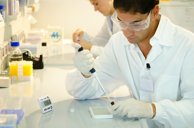 什么是干細胞?關于一系列干細胞的簡短知識 什么是干細胞?關于一系列干細胞的簡短知識