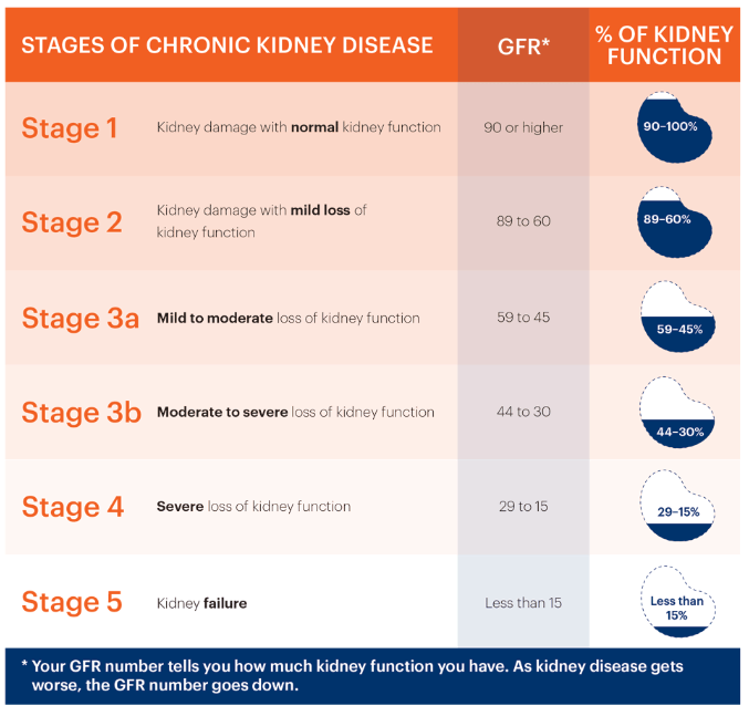慢性腎病的階段、腎臟慢性腎病治療、腎衰竭治療費用 慢性腎病的階段、腎臟慢性腎病治療、腎衰竭治療費用