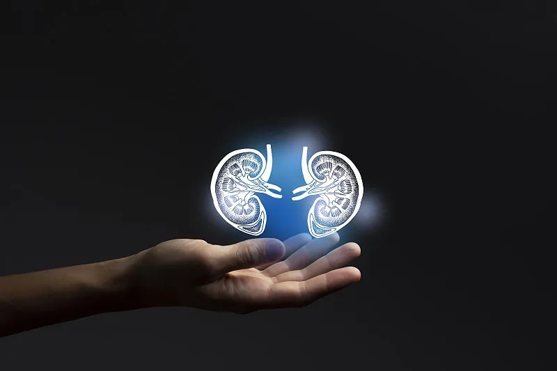 除了透析治療腎衰竭，還有什么治療方法？