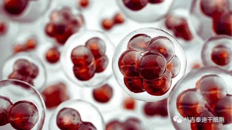 手足徐動性腦癱的最新治療方法是什么？