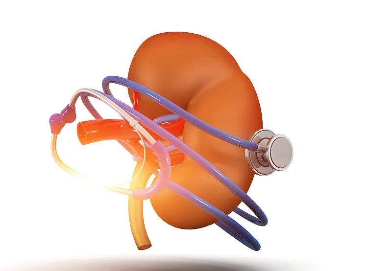 什么是慢性腎病-原因-癥狀有哪些? 什么是慢性腎病-原因-癥狀有哪些?