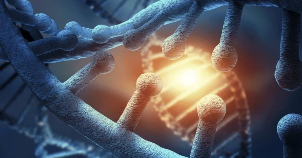 干細(xì)胞治療的10大好處 干細(xì)胞治療的10大好處