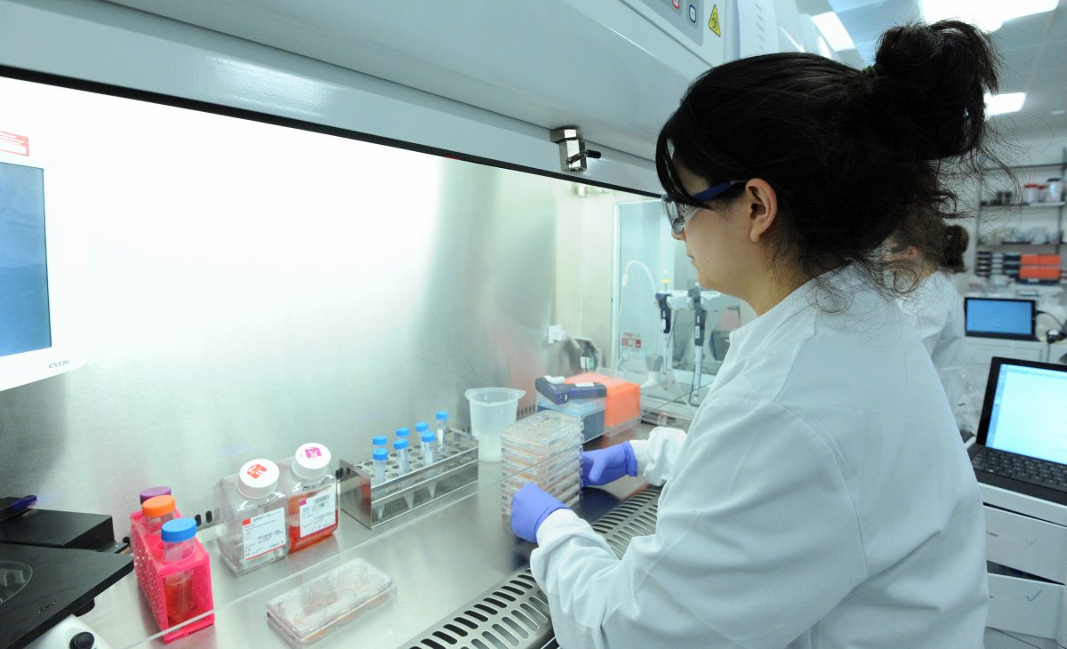 一位科學家正在研究誘導多能干細胞。圖片來源:Genome Research Limited 一位科學家正在研究誘導多能干細胞。圖片來源:Genome Research Limited