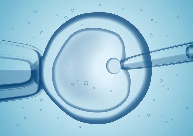 干細胞移植作為中國人群肝硬化的輔助治療策略-:有效性和安全性的薈萃分析 干細胞移植作為中國人群肝硬化的輔助治療策略-:有效性和安全性的薈萃分析