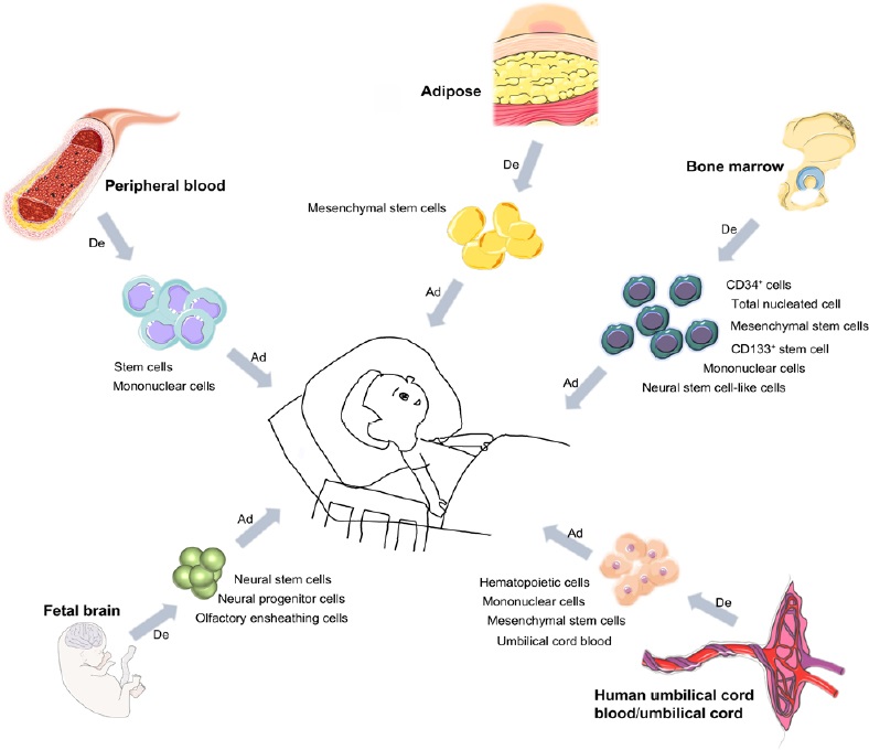 圖1:用于治療腦癱的干細(xì)胞類(lèi)型 圖1:用于治療腦癱的干細(xì)胞類(lèi)型