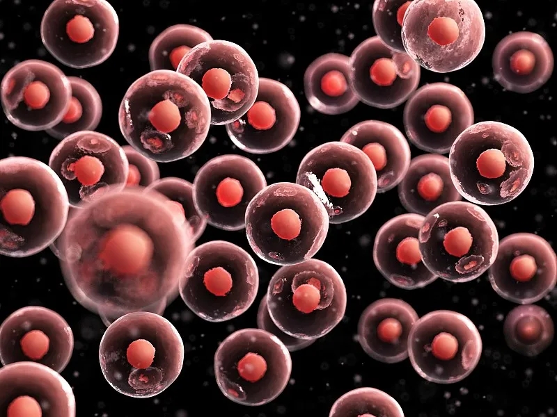 臍帶血干細胞移植有什么好處? 臍帶血干細胞移植有什么好處?