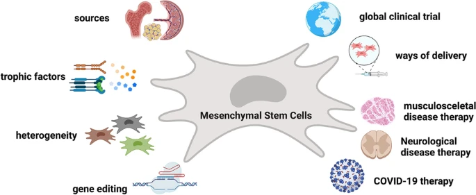 間充質干細胞的細胞療法的全球趨勢簡要概述 間充質干細胞的細胞療法的全球趨勢簡要概述