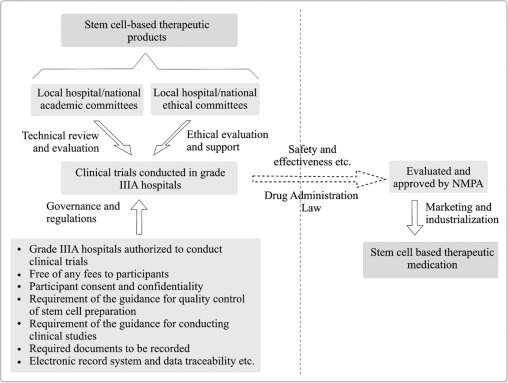 圖1。雙軌制監管體制運行模式