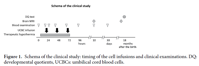 自體臍帶血回輸治療缺血性腦病的臨床研究方案 自體臍帶血回輸治療缺血性腦病的臨床研究方案