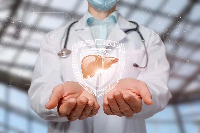 間充質(zhì)干細(xì)胞治療肝病:現(xiàn)狀與展望 間充質(zhì)干細(xì)胞治療肝病:現(xiàn)狀與展望