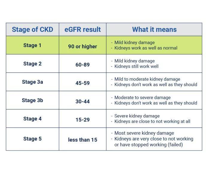 了解有關(guān)慢性腎病各個階段的更多信息 了解有關(guān)慢性腎病各個階段的更多信息