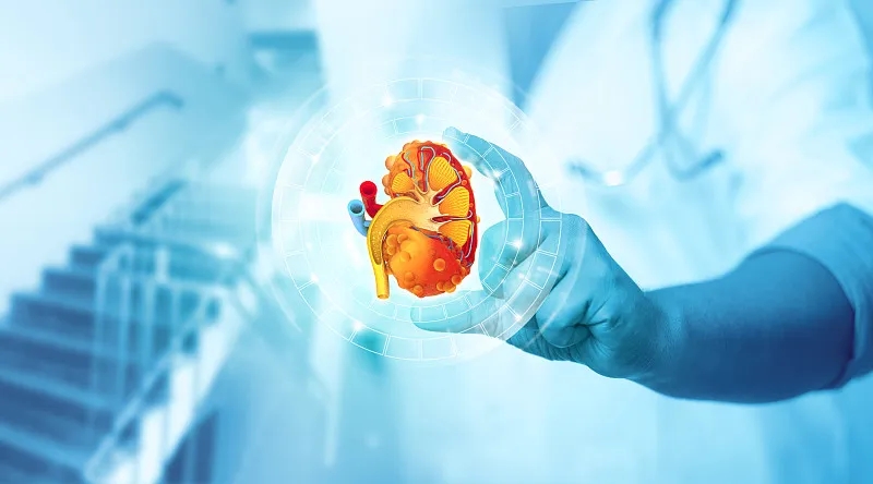 2型糖尿病與腎病的關系 2型糖尿病與腎病的關系