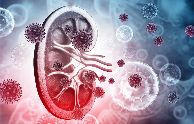 狼瘡性腎炎的體征和癥狀是什么?及其治療方法 狼瘡性腎炎的體征和癥狀是什么?及其治療方法