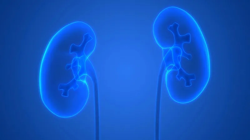 干細胞在治療腎病中取得哪些進展？未來將面臨哪些挑戰？