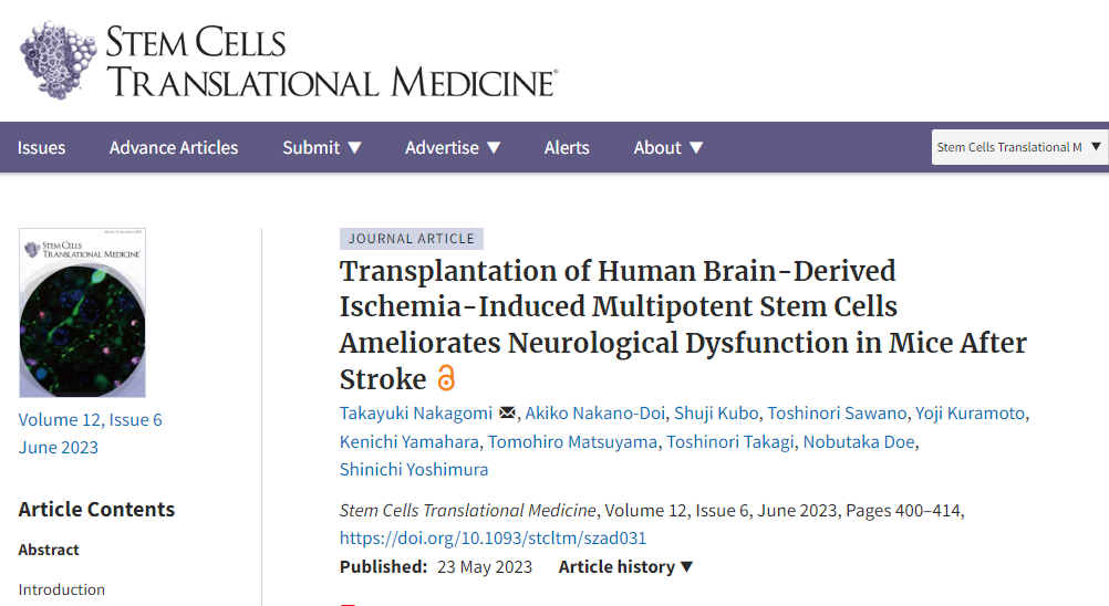 《干細(xì)胞轉(zhuǎn)換醫(yī)學(xué)》:移植人多能干細(xì)胞可改善中風(fēng)后小鼠的神經(jīng)功能障礙 《干細(xì)胞轉(zhuǎn)換醫(yī)學(xué)》:移植人多能干細(xì)胞可改善中風(fēng)后小鼠的神經(jīng)功能障礙