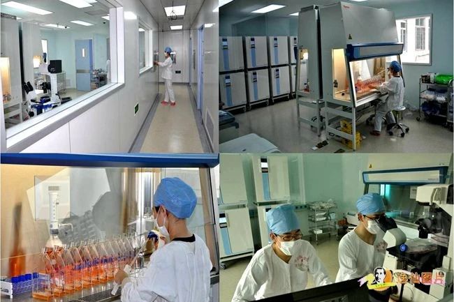 生物治療技術中心的GMP生產基地