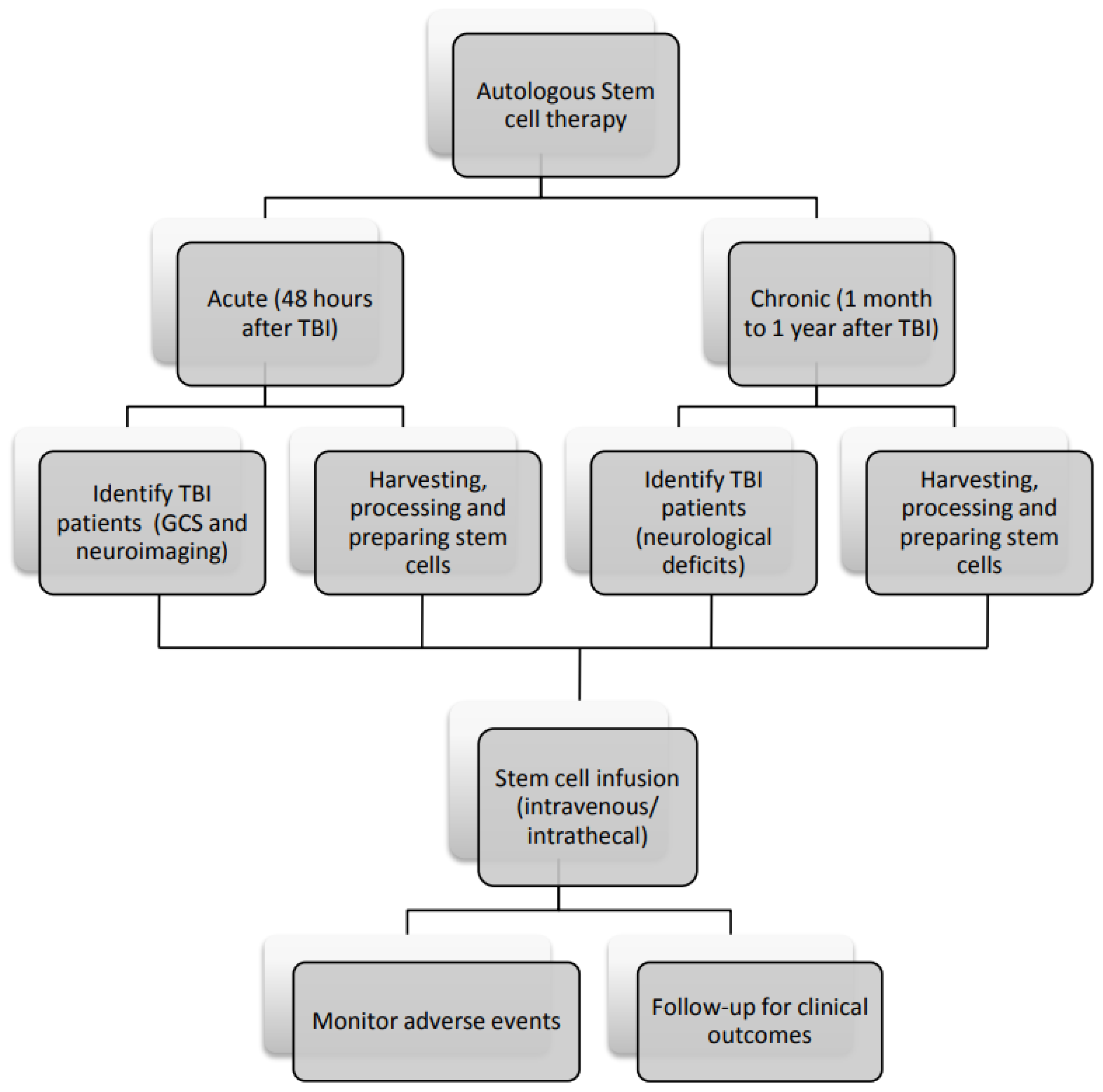 圖3:間充質干細胞治療腦損傷患者的流程圖。 圖3:間充質干細胞治療腦損傷患者的流程圖。