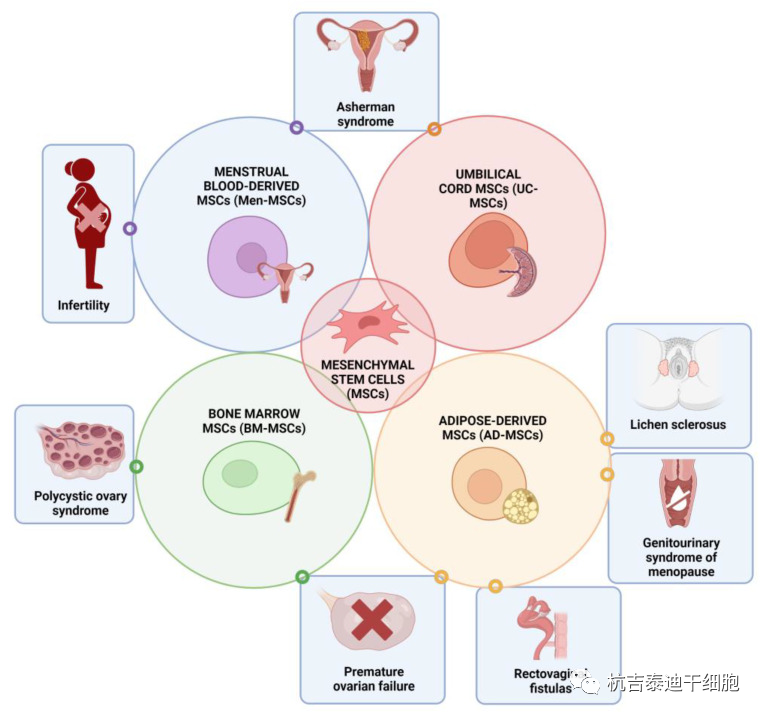 圖1:間充質干細胞在婦科各種病癥和疾病中的治療潛力 圖1:間充質干細胞在婦科各種病癥和疾病中的治療潛力