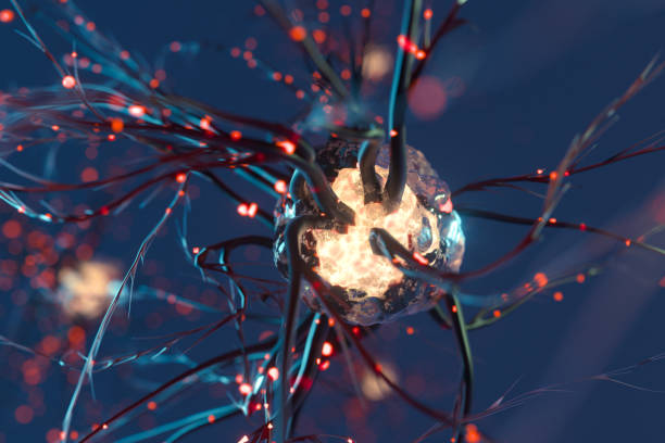 神經干細胞移植治療原發性扭轉肌張力障礙:一例報告 神經干細胞移植治療原發性扭轉肌張力障礙:一例報告