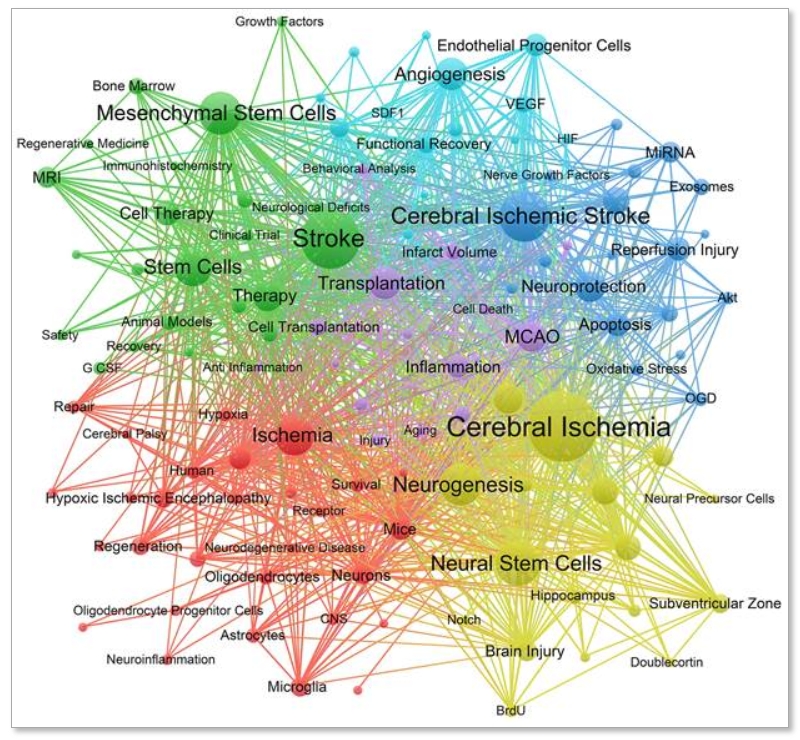 圖6：頻率至少為20的關鍵詞共現網絡。節點的大小代表關鍵詞出現的次數。線條代表不同關鍵字之間的聯系。顏色代表不同的簇。