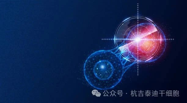 盤點2023干細胞療法五大突破性進展，沖破難治性疾病壁壘