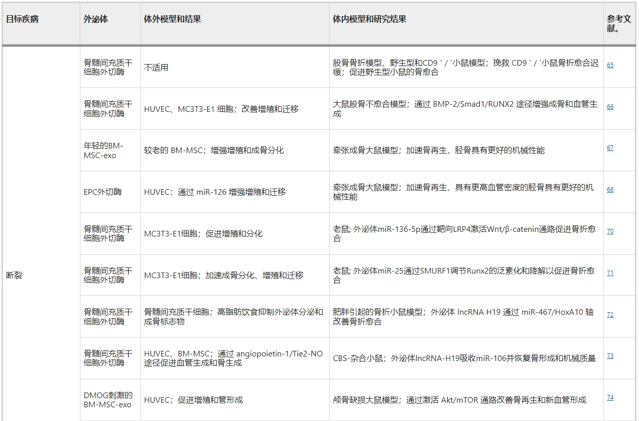 干細(xì)胞外泌體治療斷裂 干細(xì)胞外泌體治療斷裂