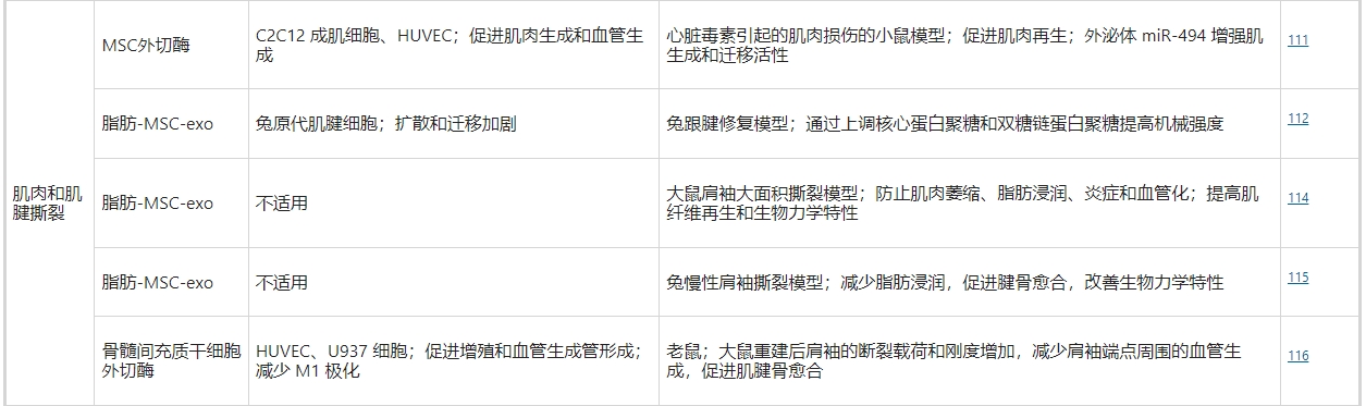 干細(xì)胞外泌體治療肌肉和肌腱撕裂 干細(xì)胞外泌體治療肌肉和肌腱撕裂