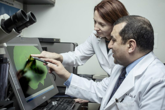 MS 的干細胞 – Sadiq 博士和 Tisch MSRCNY 的 Violaine Harris 博士 MS 的干細胞 – Sadiq 博士和 Tisch MSRCNY 的 Violaine Harris 博士