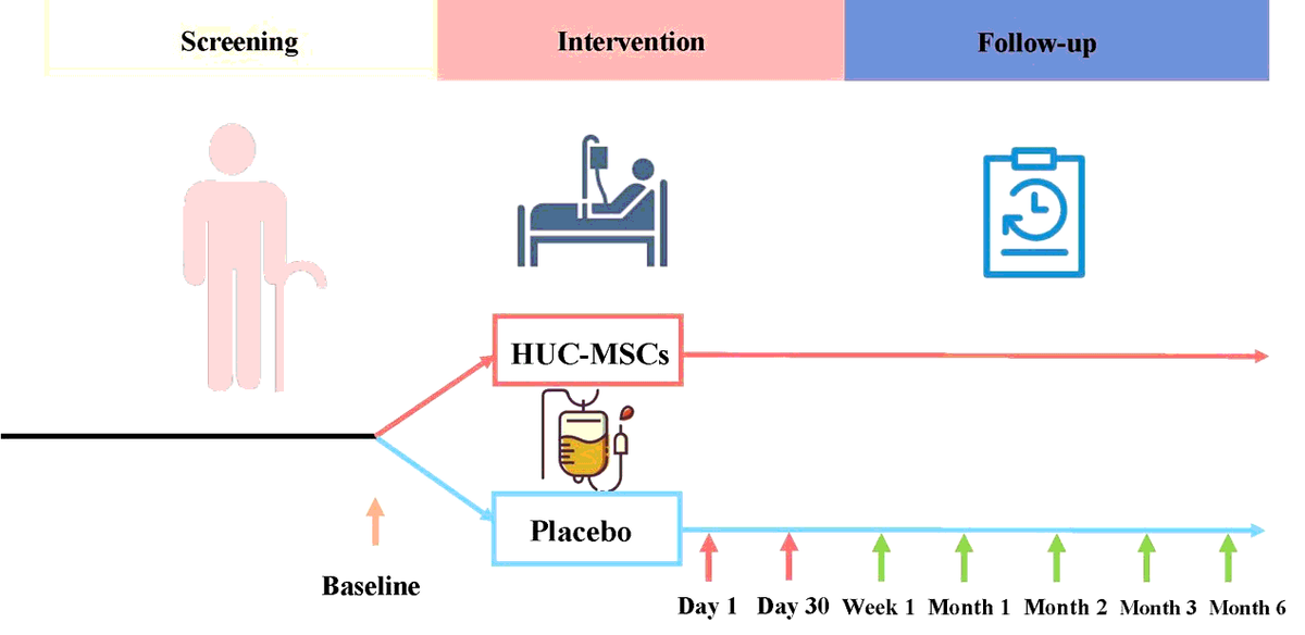 圖1：所有評估均在首次靜脈輸注HUC-MSC后1周、1、2、3和6個(gè)月時(shí)進(jìn)行
