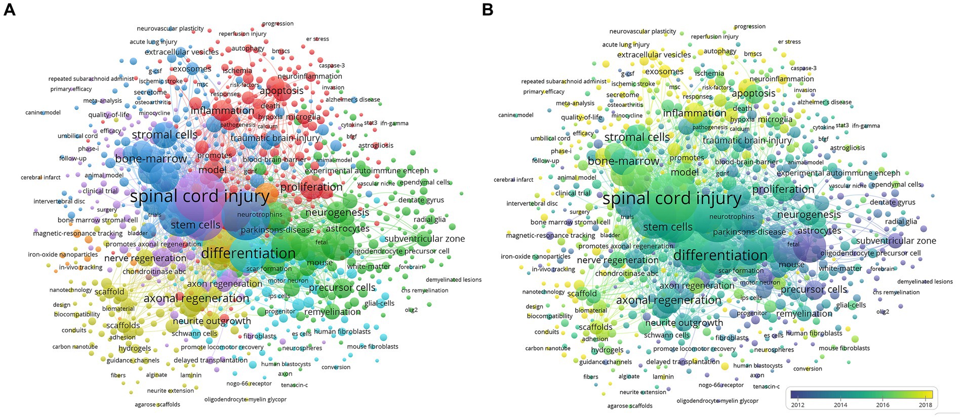 圖7:干細(xì)胞治療脊髓損傷研究的共現(xiàn)分析 圖7:干細(xì)胞治療脊髓損傷研究的共現(xiàn)分析