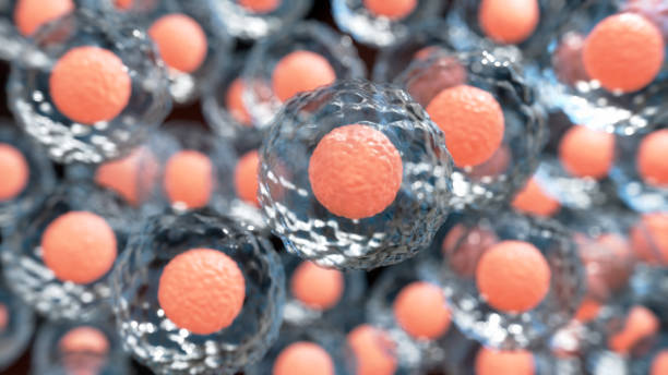 干細胞治療的平均費用是多少? 干細胞治療的平均費用是多少?