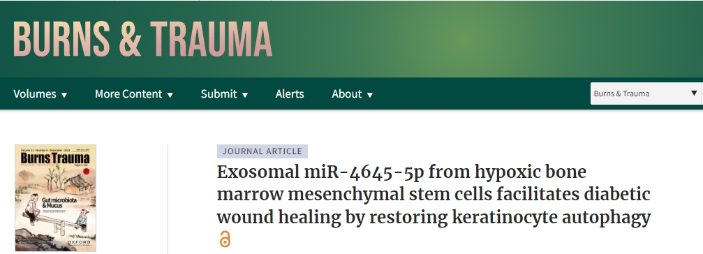 我國(guó)研究人員開(kāi)創(chuàng)了用于糖尿病傷口愈合的新型干細(xì)胞療法