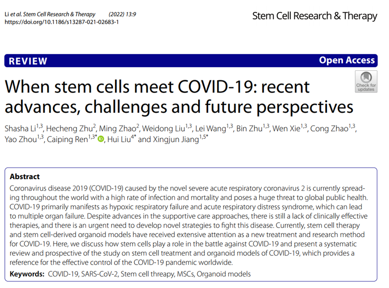 干細(xì)胞如何應(yīng)對(duì)COVID-19:近期進(jìn)展、挑戰(zhàn)和未來展望 干細(xì)胞如何應(yīng)對(duì)COVID-19:近期進(jìn)展、挑戰(zhàn)和未來展望