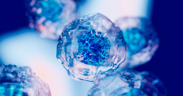 2024年重磅更新:藥監局公布間充質干細胞新藥,適應治療的46種疾病名單! 2024年重磅更新:藥監局公布間充質干細胞新藥,適應治療的46種疾病名單!