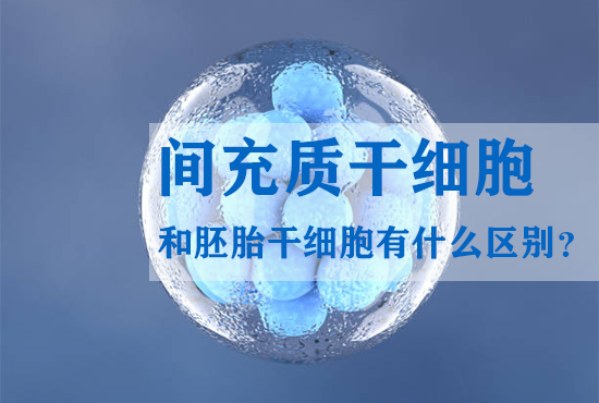 間充質(zhì)干細(xì)胞和胚胎干細(xì)胞有什么區(qū)別? 間充質(zhì)干細(xì)胞和胚胎干細(xì)胞有什么區(qū)別?