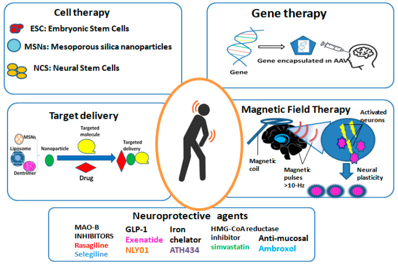 圖2：帕金森病的新療法概述。