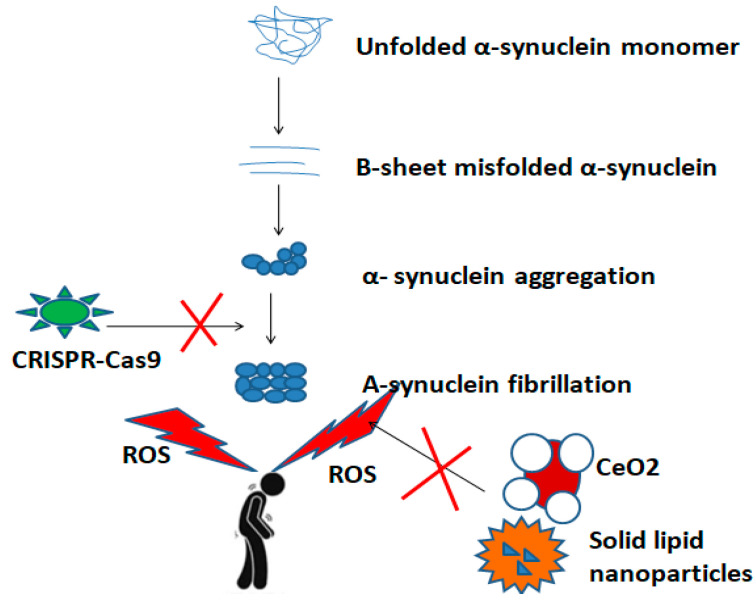圖3：納米粒子和基因編輯技術(shù)（例如CRISPR-Cas9系統(tǒng)）在PD發(fā)病途徑中的抑制作用的示意圖。