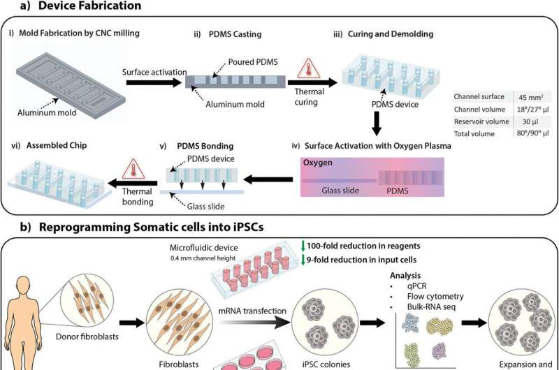 新設備改善了干細胞的生成,為阿爾茨海默氏癥細胞療法提供了機會 新設備改善了干細胞的生成,為阿爾茨海默氏癥細胞療法提供了機會
