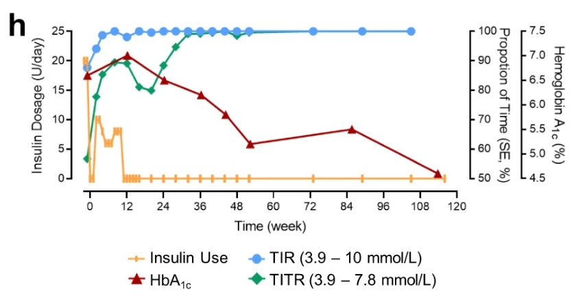 116周期間 TITR、TIR 和 HbA1c 以及胰島素劑量的臨床測量值